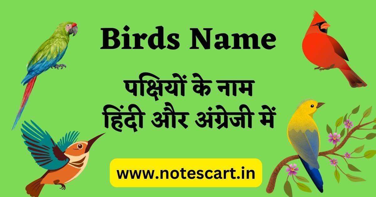 Birds Name in Hindi